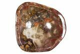 Polished Petrified Wood Bowl/Dish - Madagascar #304673-1